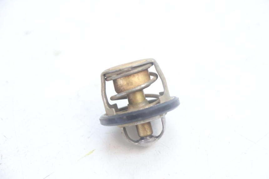 photo de TERMOSTATO  YAMAHA YP MAJESTY 125 (2002 - 2006) - Zoom sullo stato d'uso