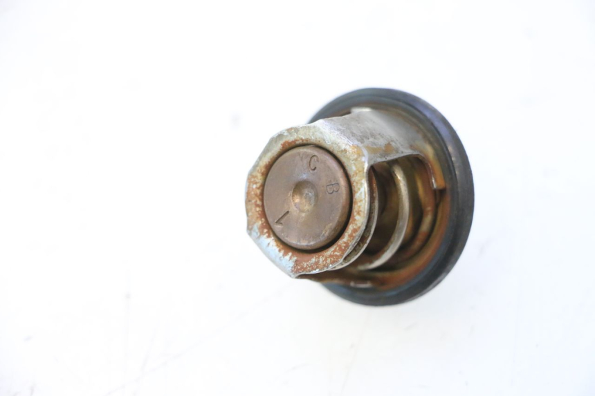 photo de TERMOSTATO  YAMAHA YP MAJESTY 125 (2007 - 2010) - Dettaglio del componente