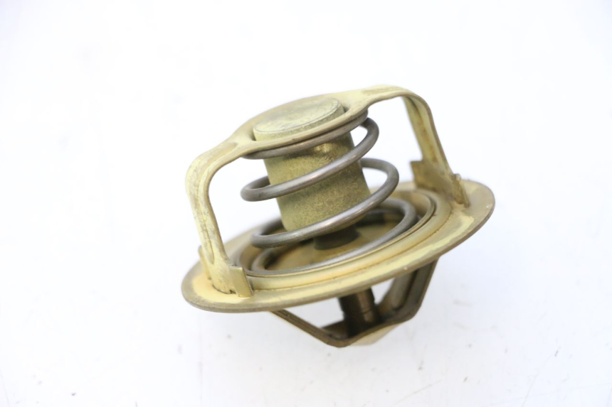 photo de TERMOSTATO  KAWASAKI ZX-6R ZX6R 600 (2000 - 2002) - Dettaglio del componente