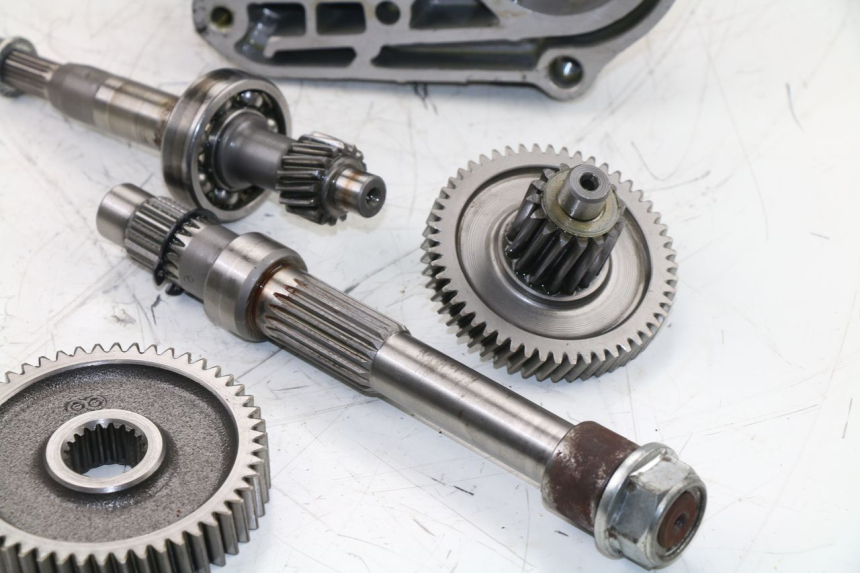 photo de Trasmissione ruota BAOTIAN BT 49 QT-9 50 (2006 - 2010) - Marcature e riferimenti originali