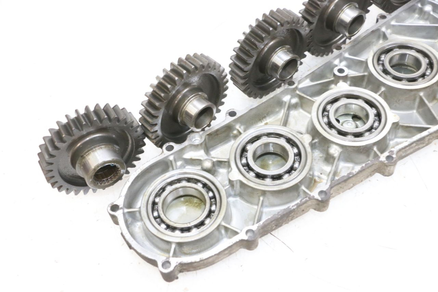 photo de INGRANAGGIO  SUZUKI BURGMAN 650 (2013 - 2020) - Ispezione visiva dettagliata