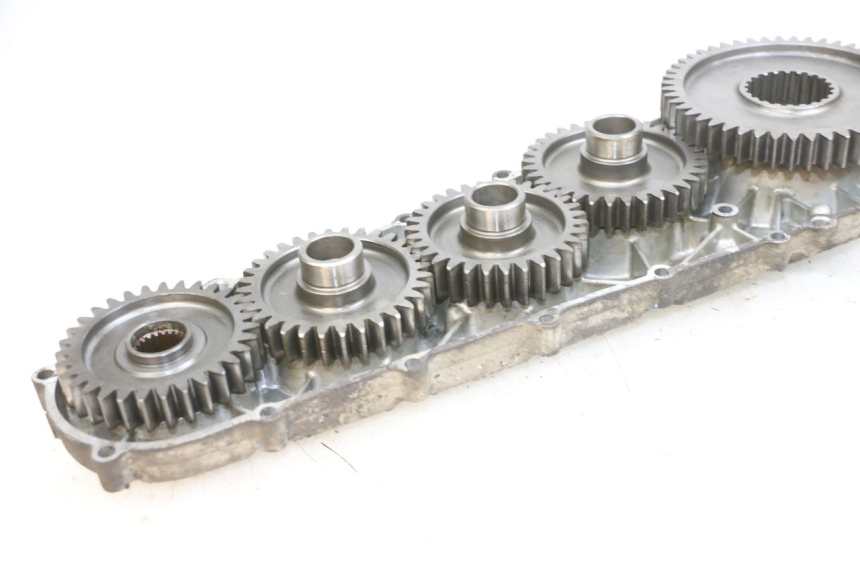 photo de INGRANAGGIO  SUZUKI BURGMAN 650 (2013 - 2020) - Panoramica del profilo