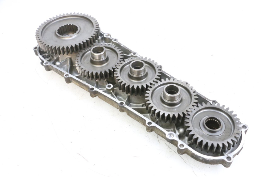 photo de INGRANAGGIO  SUZUKI BURGMAN 650 (2013 - 2020) - Primo piano tecnico