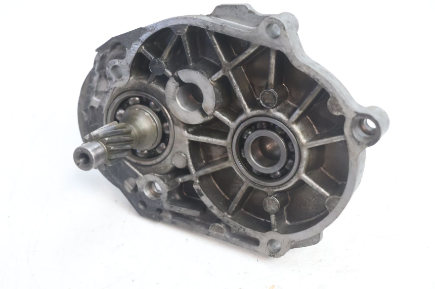 photo de TRASMISSIONE RUOTA PEUGEOT BUXY 50 (1993 - 1998) - Primo piano tecnico
