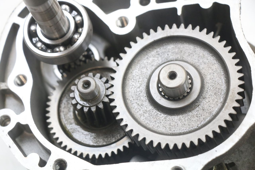 photo de TRASMISSIONE RUOTA LONGJIA DIGITA 4T 50 (2019 - 2022) - Zoom sullo stato d'uso