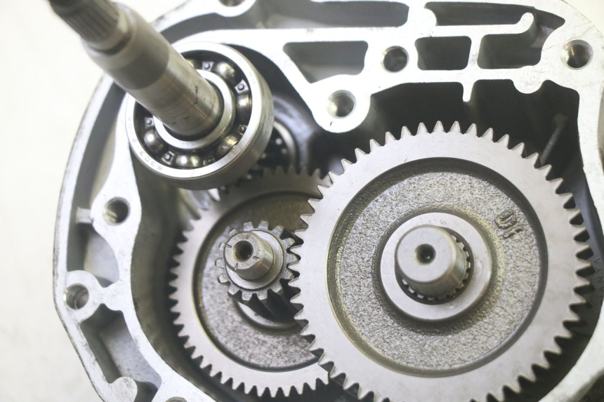 photo de TRASMISSIONE RUOTA LONGJIA DIGITA 4T 50 (2019 - 2022) - Caratteristiche distintive