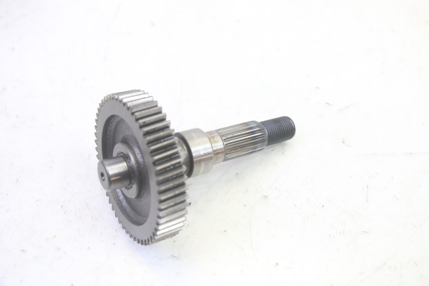 photo de TRASMISSIONE RUOTA LONGJIA DIGITA 4T 50 (2019 - 2022) - Marcature e riferimenti originali