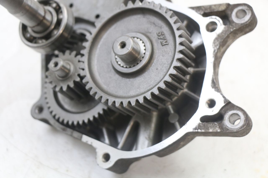 photo de INGRANAGGIO  PEUGEOT DJANGO 125 (2014 - 2017) - Dettaglio del componente