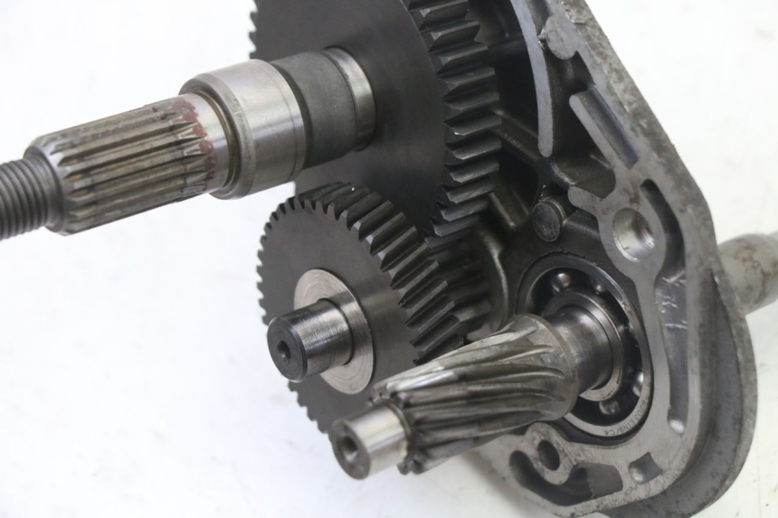 photo de INGRANAGGIO  PEUGEOT ELYSTAR 50 (2002 - 2014) - Dettaglio del componente