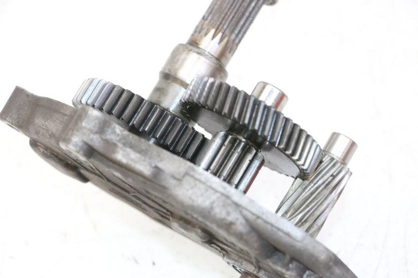 photo de INGRANAGGIO  PEUGEOT ELYSTAR 50 (2002 - 2014) - Primo piano tecnico