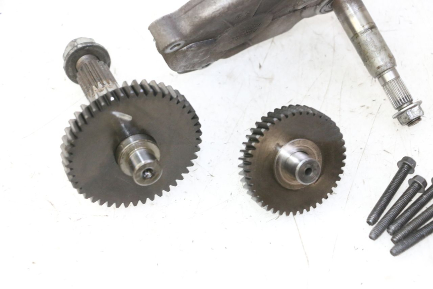 photo de INGRANAGGIO  PEUGEOT ELYSTAR 50 (2002 - 2014) - Marcature e riferimenti originali