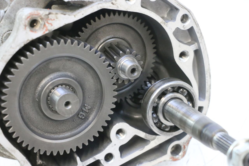 photo de INGRANAGGIO  JM MOTORS F45i 4T 50 (2020 - 2023) - Vista d'insieme del prodotto