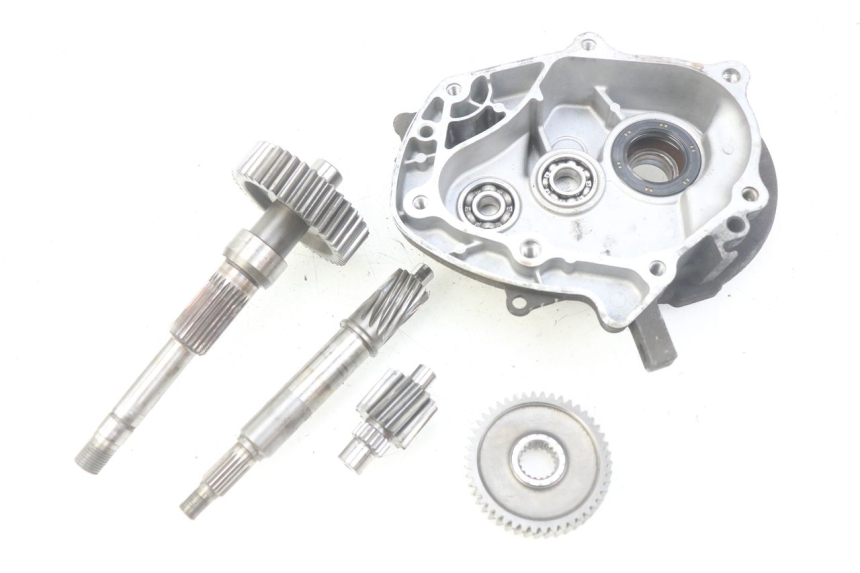 photo de TRASMISSIONE RUOTA HONDA FES PANTHEON 125 (2003 - 2007) - Vista principale