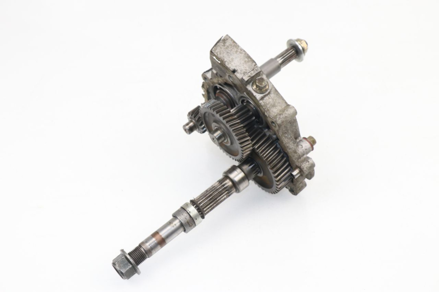 photo de Trasmissione ruota REVATTO FUTURA GT 125 (2006 - 2008) - Zoom sullo stato d'uso