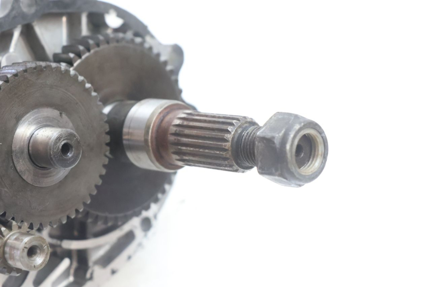photo de INGRANAGGIO  PEUGEOT LUDIX BLASTER 50 (2006 - 2014) - Dettaglio del componente