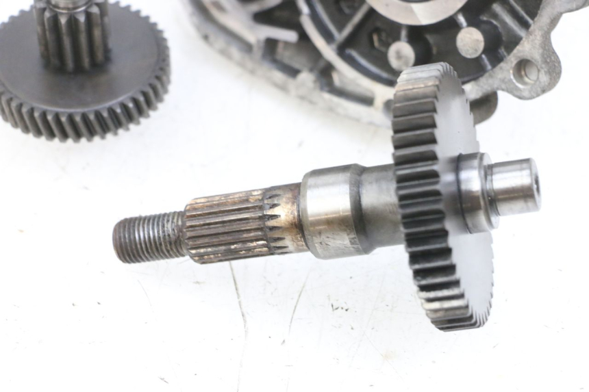 photo de TRASMISSIONE RUOTA PEUGEOT LUDIX 50 (2008 - 2017) - Altra vista dell'articolo