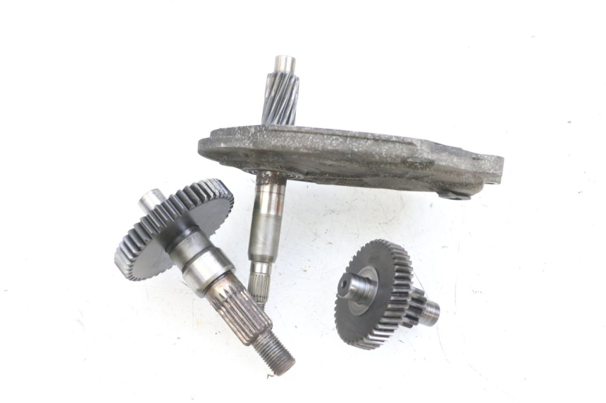 photo de TRASMISSIONE RUOTA PEUGEOT LUDIX 50 (2008 - 2017) - Zoom sullo stato d'uso