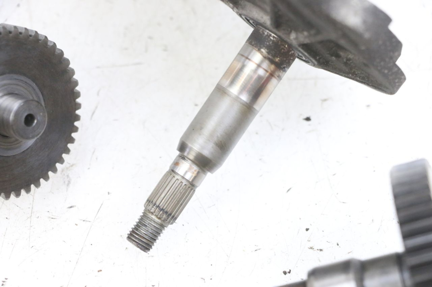 photo de TRASMISSIONE RUOTA PEUGEOT LUDIX 50 (2008 - 2017) - Primo piano tecnico