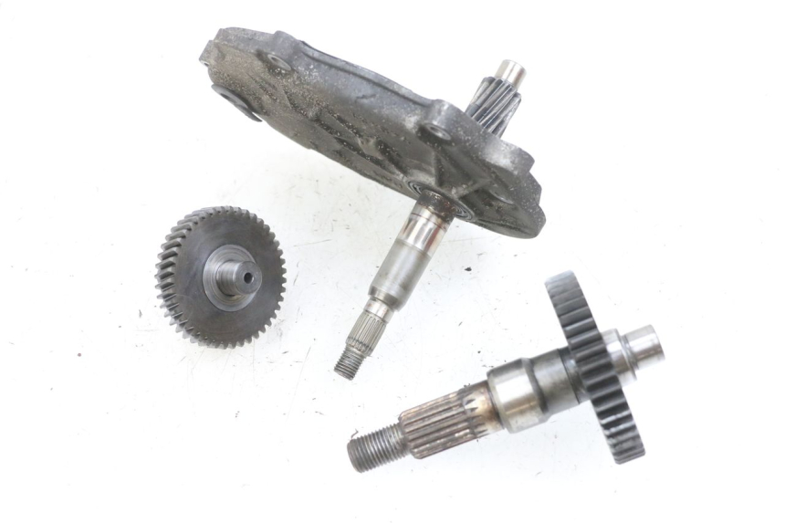 photo de TRASMISSIONE RUOTA PEUGEOT LUDIX 50 (2008 - 2017) - Marcature e riferimenti originali