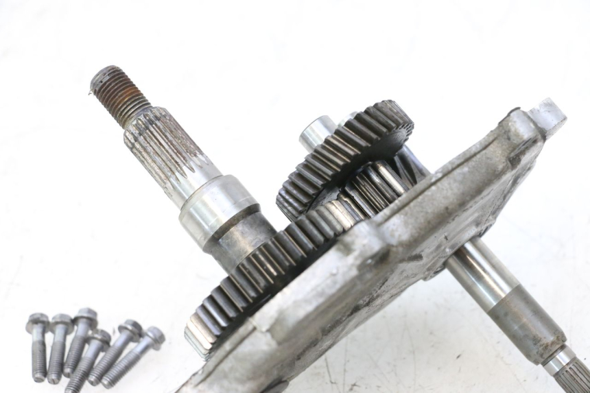 photo de INGRANAGGIO  PEUGEOT LUDIX ONE 50 (2004 - 2013) - Primo piano tecnico