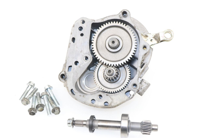 photo de Trasmissione ruota SAMPO LY50QT-21 50 (2009 - 2014) - Zoom sullo stato d'uso