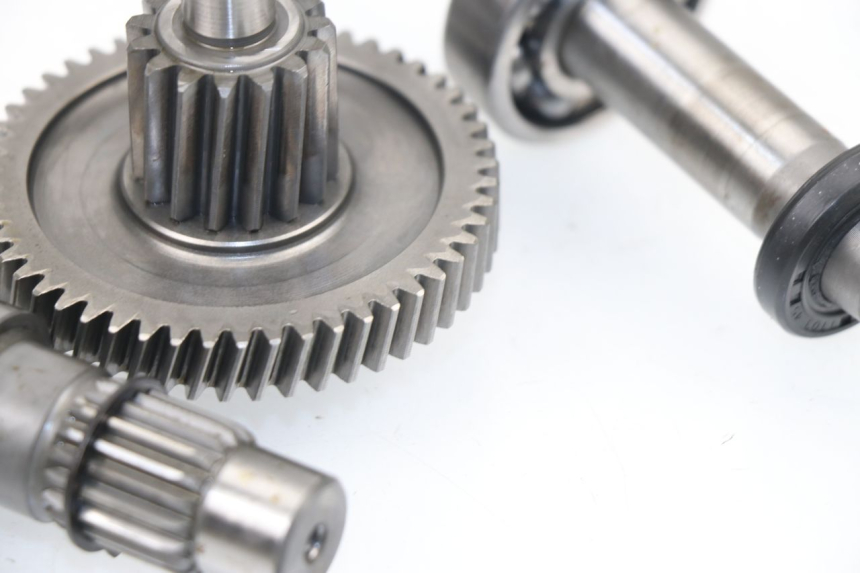 photo de Trasmissione ruota SAMPO LY50QT-21 50 (2009 - 2014) - Primo piano tecnico