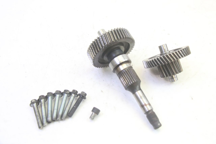 photo de TRASMISSIONE RUOTA PIAGGIO MP3 RL 250 (2006 - 2010) - Vista principale