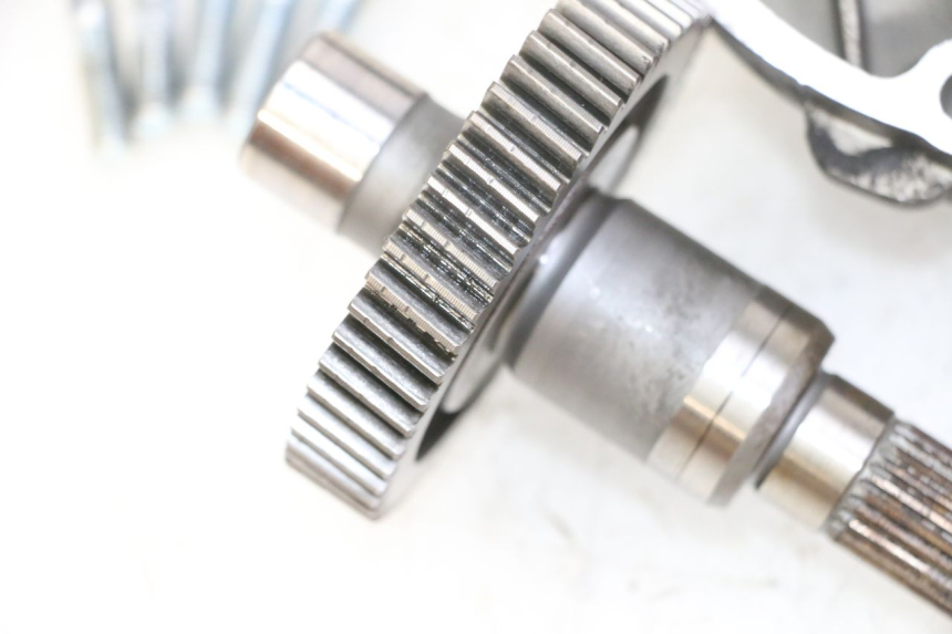 photo de INGRANAGGIO  PIAGGIO NEW TYPHOON 50 (2010 - 2017) - Panoramica del profilo