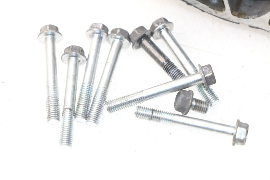 photo de INGRANAGGIO  HONDA NSS EX FORZA 250 (2005 - 2013) - Primo piano tecnico