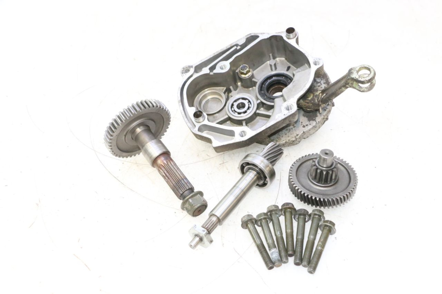 photo de INGRANAGGIO  IMF INDUSTRIE PACH 2T 50 (2009 - 2013) - Dettaglio del componente