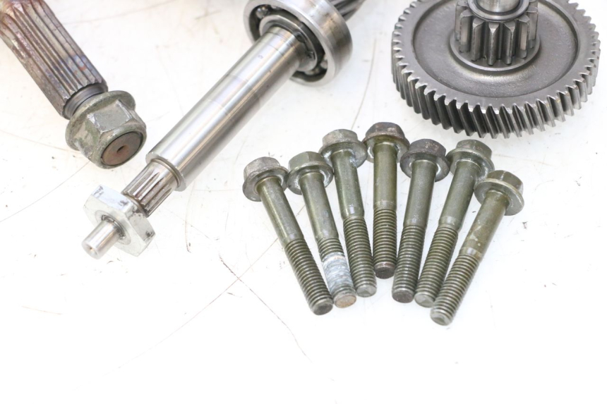 photo de INGRANAGGIO  IMF INDUSTRIE PACH 2T 50 (2009 - 2013) - Focus sulla struttura
