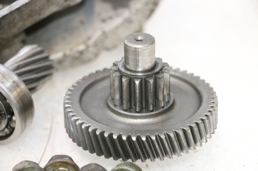 photo de INGRANAGGIO  IMF INDUSTRIE PACH 2T 50 (2009 - 2013) - Angolazione alternativa