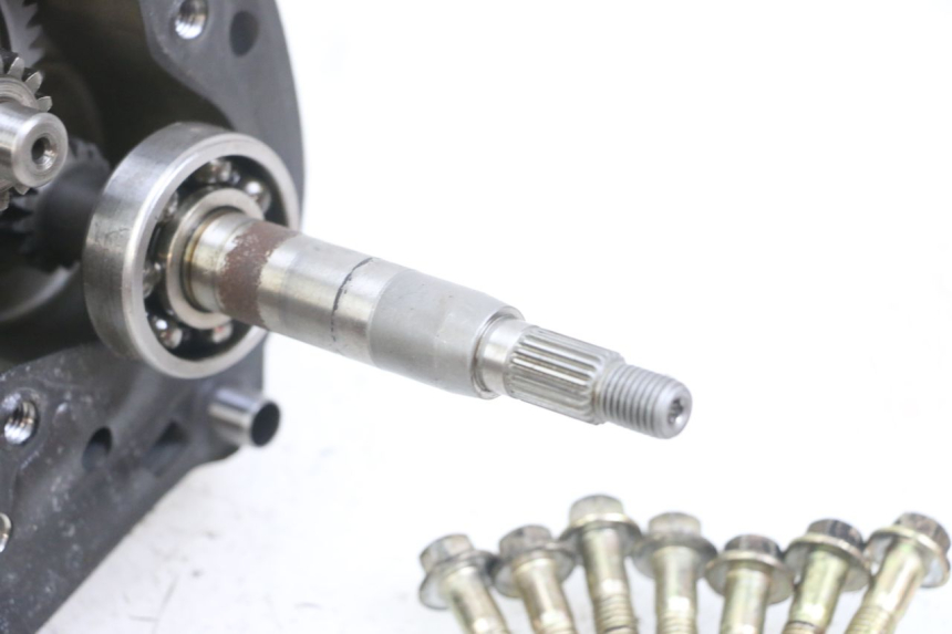 photo de TRASMISSIONE RUOTA TNT MOTOR ROMA 10' 4T 50 (2007 - 2018) - Primo piano tecnico