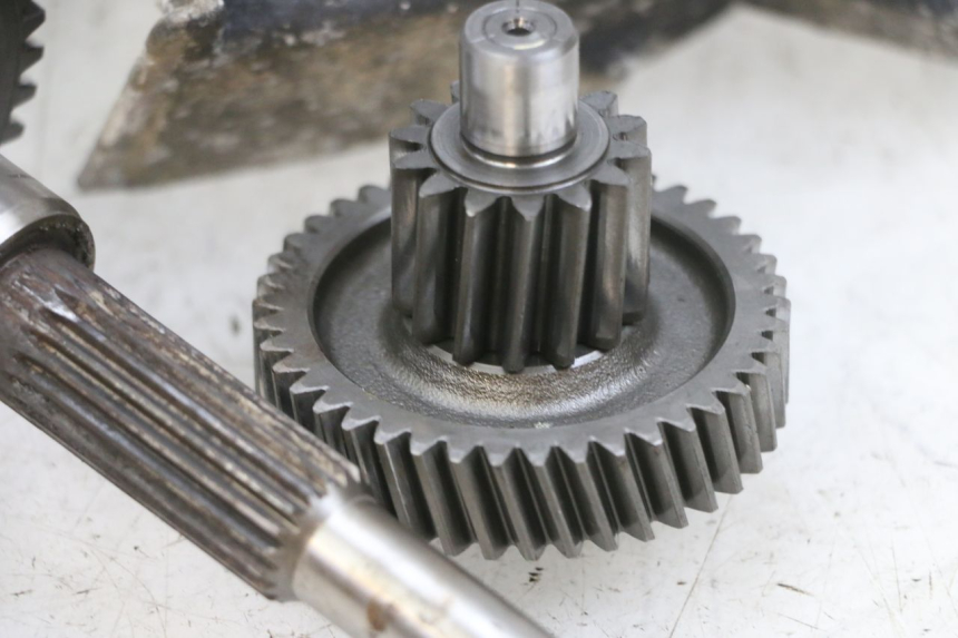 photo de TRASMISSION RUOTA DAELIM S1 125 (2007 - 2016) - Focus sulla struttura