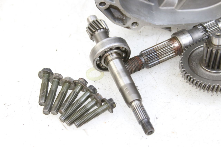 photo de Trasmissione ruota JM MOTORS SANTANA 50 (2014 - 2023) - Marcature e riferimenti originali