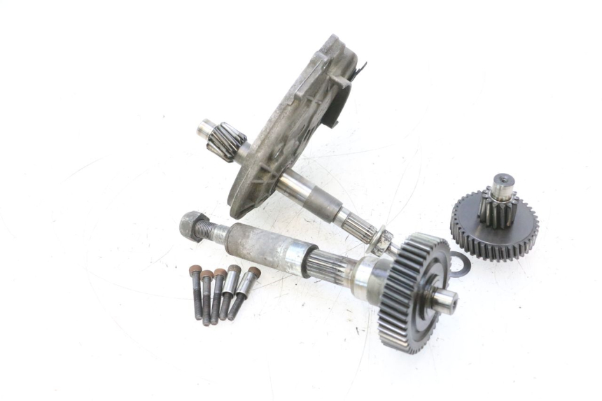 photo de TRASMISSIONE RUOTA PEUGEOT SATELIS 125 (2006 - 2009) - Caratteristiche distintive