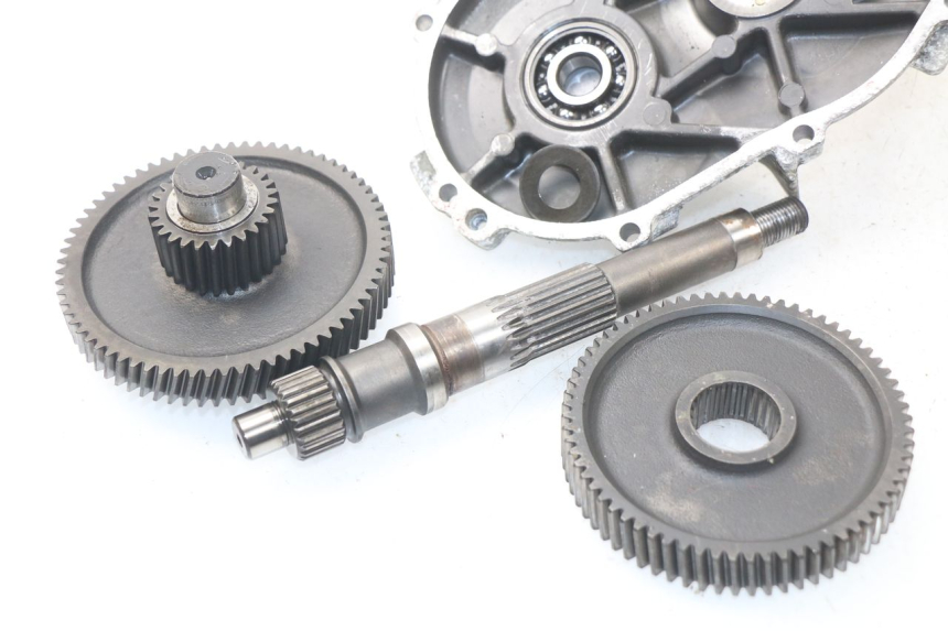 photo de Trasmissione ruota APRILIA SCARABEO GT 125 (1999 - 2007) - Dettaglio del componente