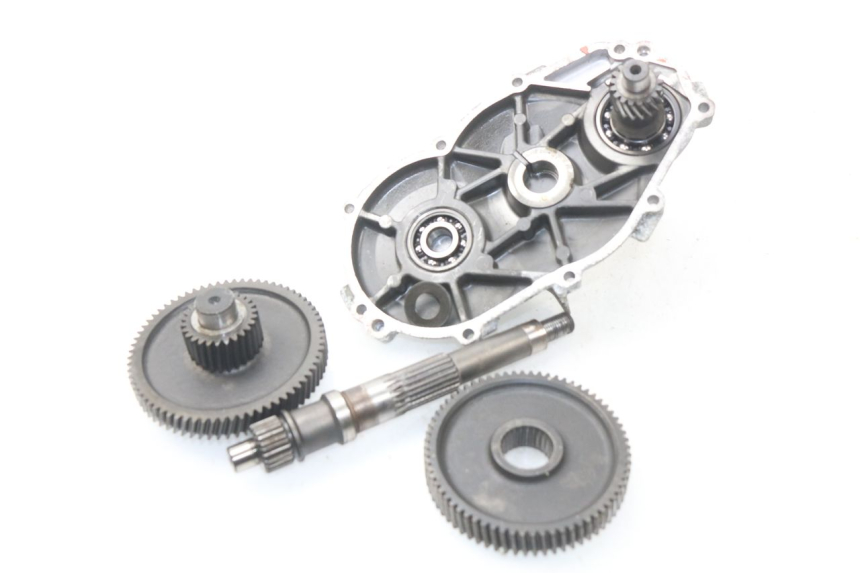 photo de Trasmissione ruota APRILIA SCARABEO GT 125 (1999 - 2007) - Primo piano tecnico