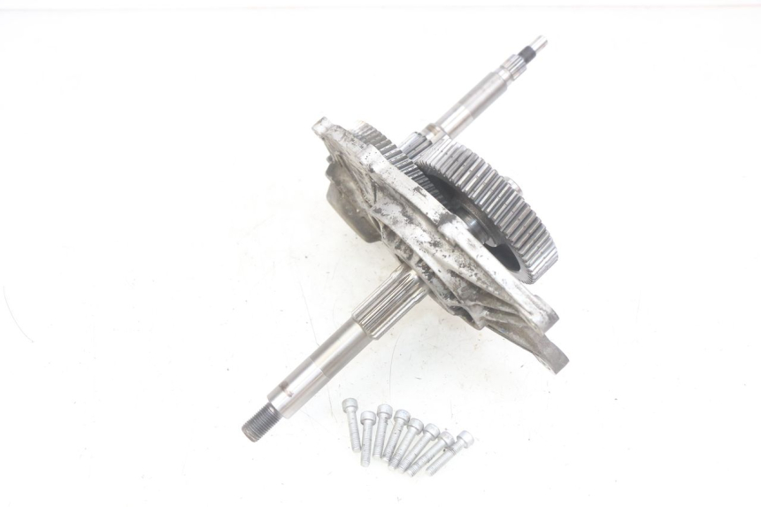 photo de TRASMISSIONE RUOTA APRILIA SCARABEO LIGHT 125 (2007 - 2011) - Dettagli dei punti di fissaggio