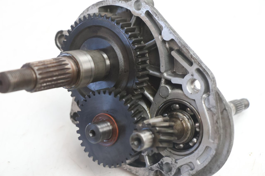 photo de TRASMISSIONE RUOTA PEUGEOT SPEEDFIGHT LC 50 (1996 - 2002) - Dettaglio del componente