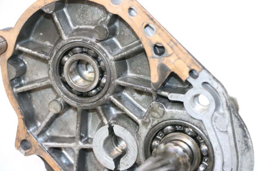 photo de TRASMISSIONE RUOTA PEUGEOT SPEEDFIGHT LC 50 (1996 - 2002) - Zoom sui componenti