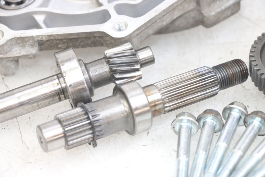 photo de TRASMISSIONE RUOTA PEUGEOT TWEET 4T 50 (2014 - 2019) - Ricambio usato controllato