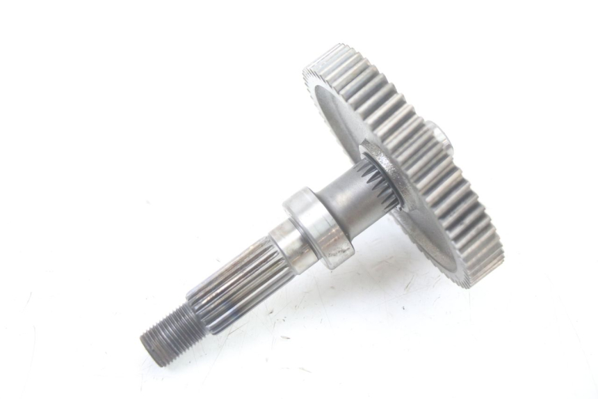 photo de INGRANAGGIO  PEUGEOT TWEET 4T 50 (2018 - 2022) - Primo piano tecnico