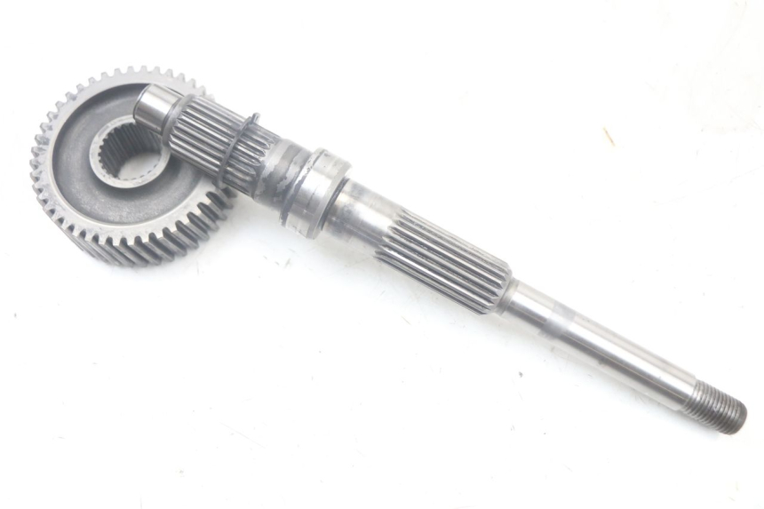 photo de TRASMISSIONE RUOTA YAMAHA XMAX X-MAX 125 (2006 - 2009) - Caratteristiche distintive