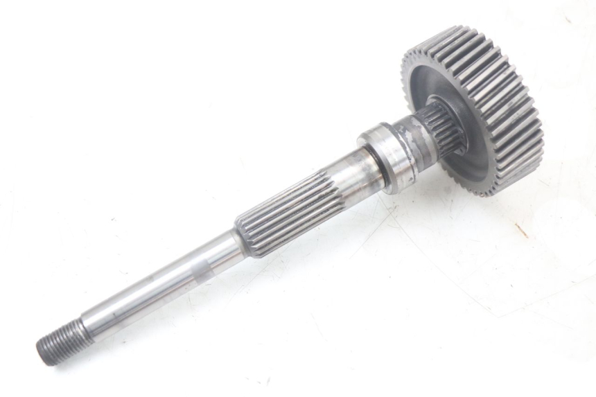 photo de TRASMISSIONE RUOTA YAMAHA XMAX X-MAX 125 (2006 - 2009) - Zoom sui componenti