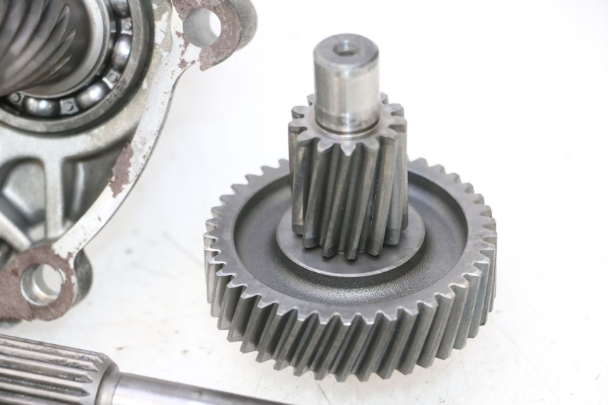 photo de TRASMISSIONE RUOTA YAMAHA XMAX X-MAX 125 (2006 - 2009) - Dettaglio del componente