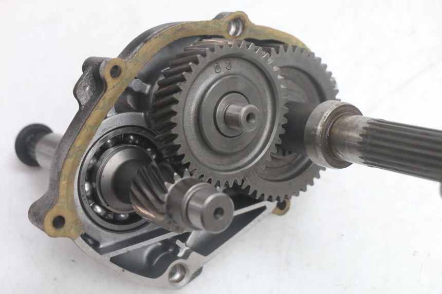 photo de TRASMISSIONE RUOTA YAMAHA YP MAJESTY 125 (1998 - 2001) - Dettaglio del componente