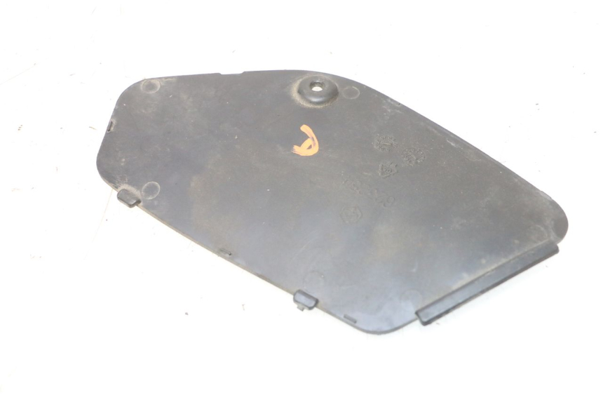 photo de SPORTELLO DESTRA PIAGGIO MP3 RL 250 (2006 - 2010) - Dettaglio del componente