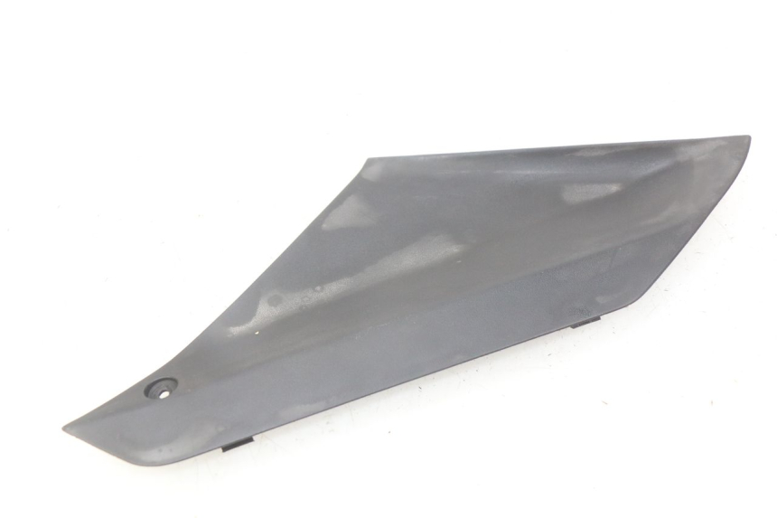 photo de SPORTA DI ISPEZIONE SINISTRA PEUGEOT GEOPOLIS 400 (2007 - 2013) - Dettaglio del componente