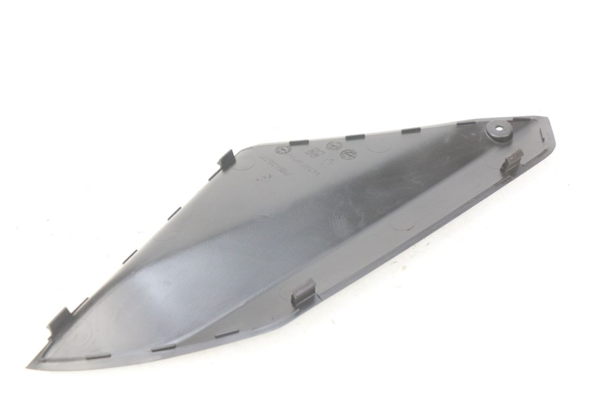 photo de SPORTA DI ISPEZIONE SINISTRA PEUGEOT GEOPOLIS 400 (2007 - 2013) - Zoom sullo stato d'uso